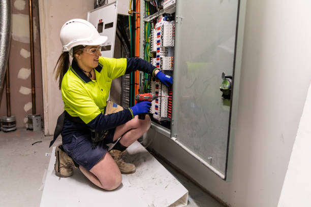 Best Affordable Electrician  in Zimmerman, MN