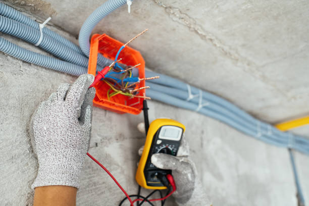 Best Generator Installation Services  in Zimmerman, MN